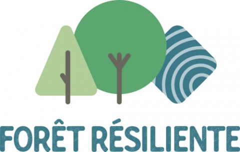 Forêt résiliente